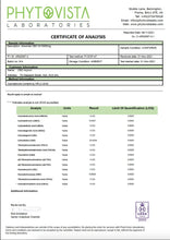 Load image into Gallery viewer, CBD Asylum 1000mg Absolute CBD Oil 20ml (BUY 1 GET 2 FREE) - Associated CBD