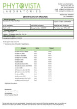 Load image into Gallery viewer, CBD Asylum 3000mg CBD Max Tablets - 100 Caps (BUY 1 GET 2 FREE) - Associated CBD